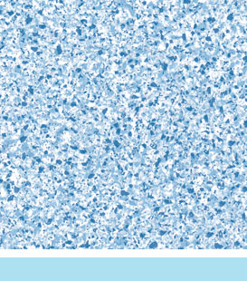 borderless pool liner